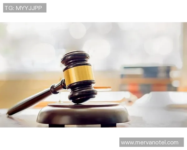 肖像权法律纠纷的现状分析与解决路径探讨